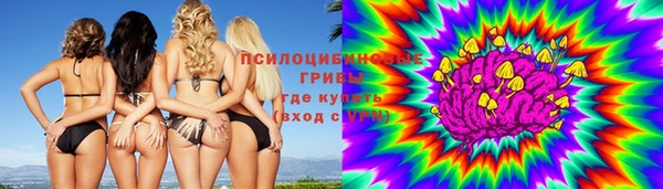 тгк Вязьма