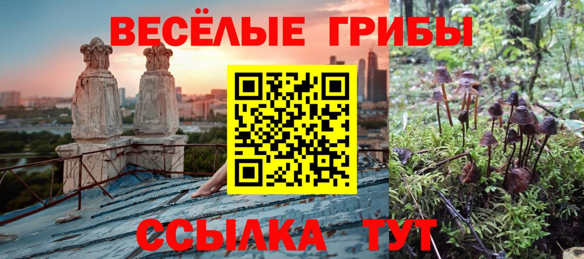 Галлюциногенные грибы Psilocybine cubensis Тихорецк