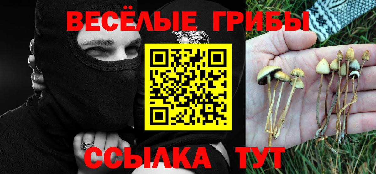 Тихорецк  Галлюциногенные грибы Psilocybine cubensis  Вход с VPN 